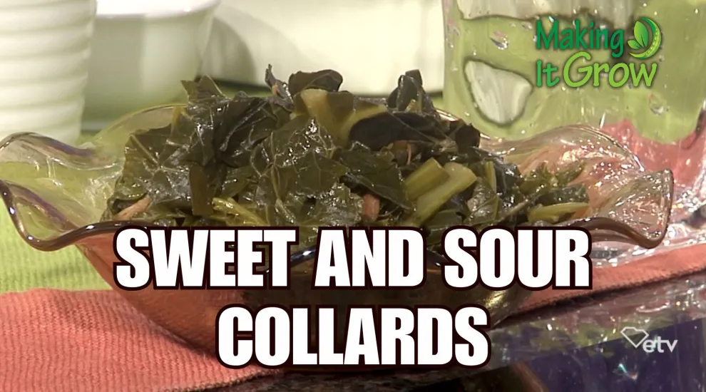 Sweet and Sour Collards