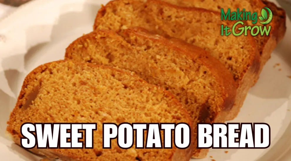 Sweet Potato Bread