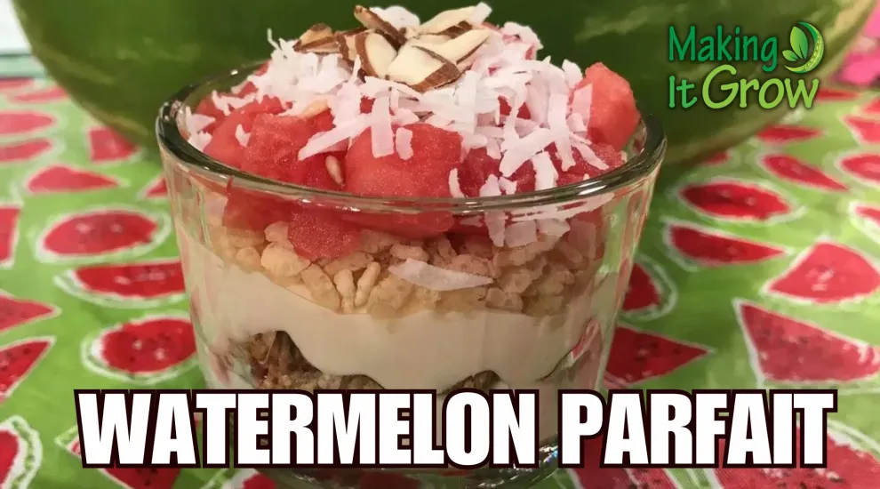 Watermelon Parfait