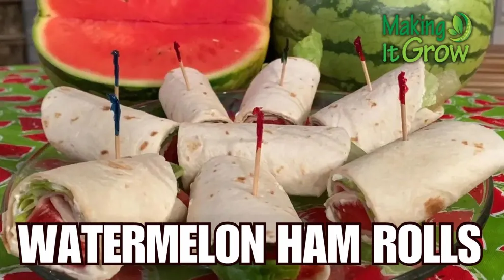 Watermelon Ham Rolls 