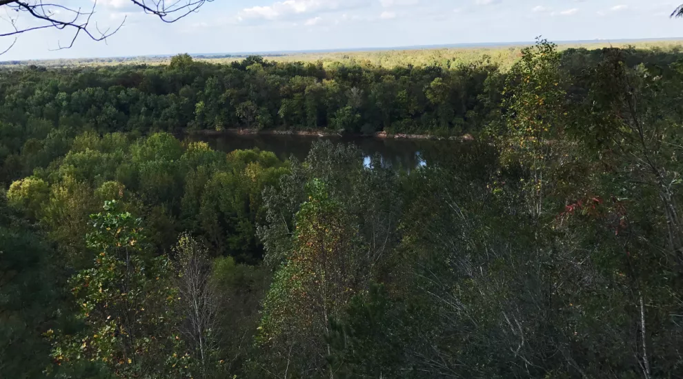 Congaree River Bluff