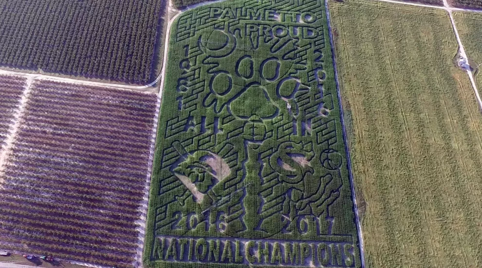 Corn Maze