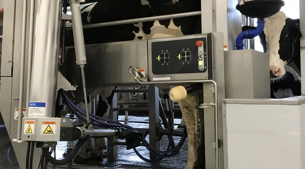 Robotic Milking