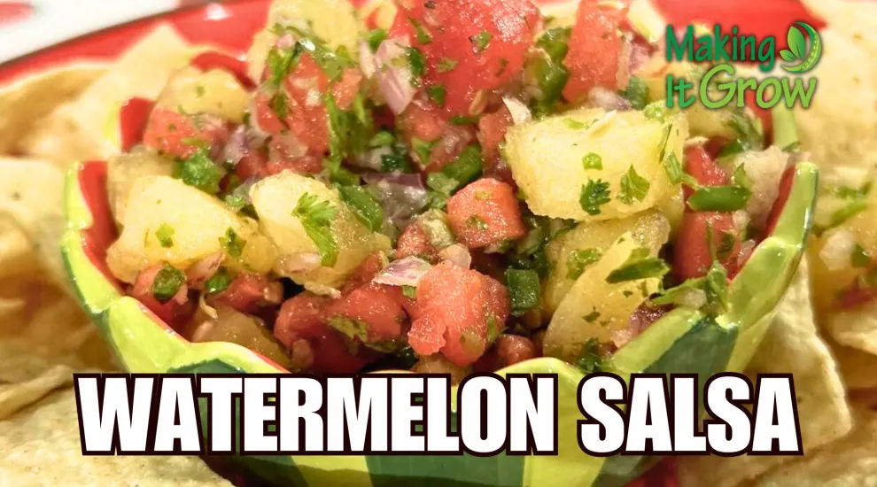 Watermelon Salsa