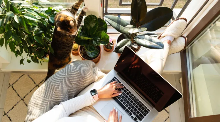 photo of woman relaxing in chair with her feet up and a laptop on her lap with a cat and potted plants nearby