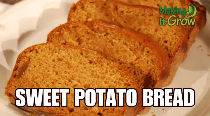 Sweet Potato Bread