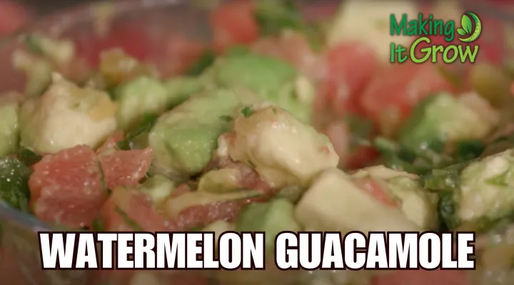 Watermelon Guacamole