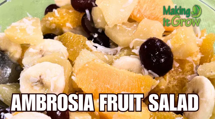 Ambrosia Fruit Salad