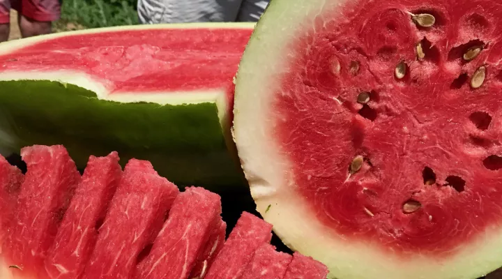 The Bradford Watermelon