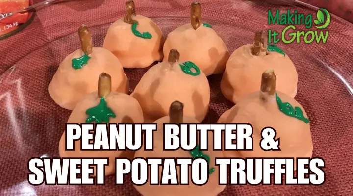 Peanut Butter and Sweet Potatoe Truffles