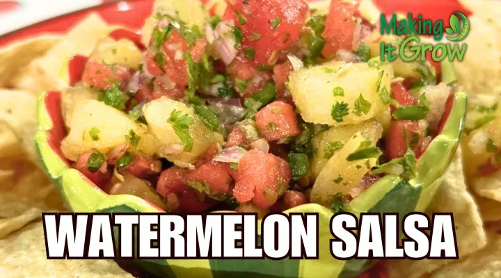 Watermelon Salsa